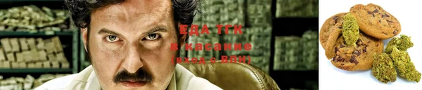 стаф Новозыбков