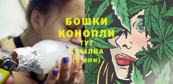 стаф Новозыбков