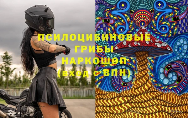 стаф Новозыбков