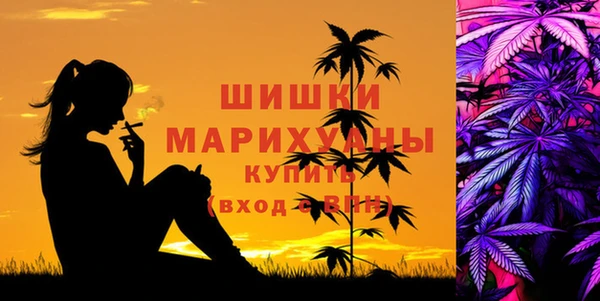 стаф Новозыбков