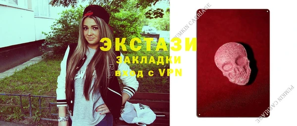 стаф Новозыбков