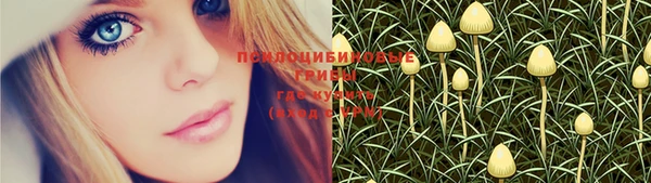 стаф Новозыбков