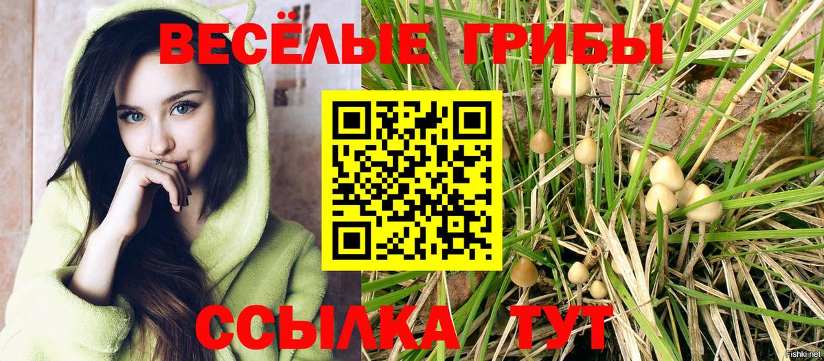 купить  цена  Псилоцибиновые грибы Cubensis  Вход с VPN  Североморск 